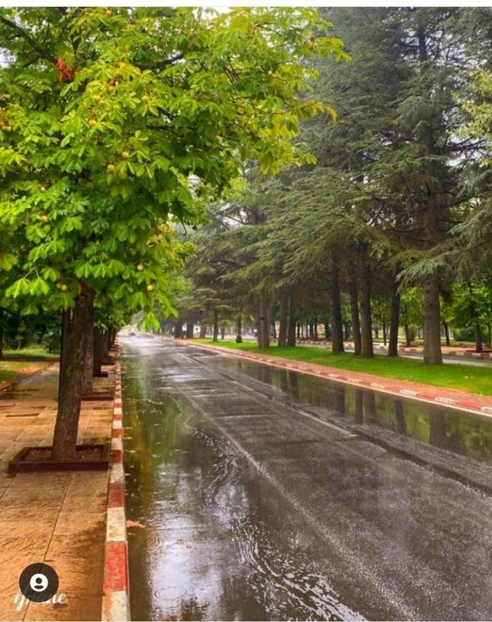 Appartement Amira Ifrane Ifrane  Extérieur photo